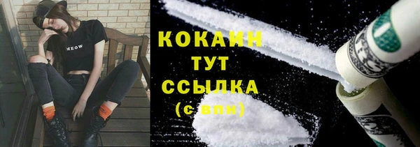 сатива Волосово