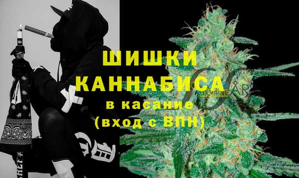 сатива Волосово