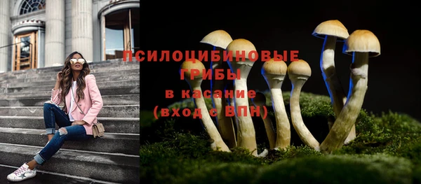 mix Вяземский