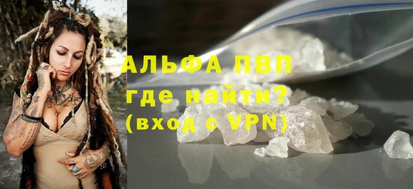 сатива Волосово