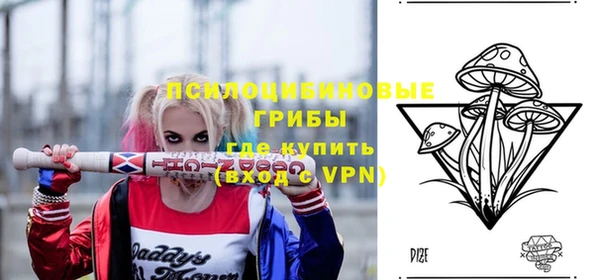 ПСИЛОЦИБИНОВЫЕ ГРИБЫ Пролетарск